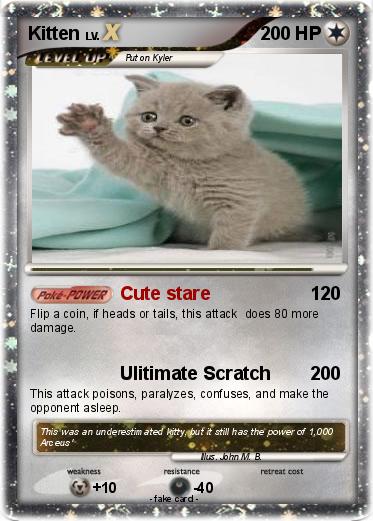 Pokemon Kitten