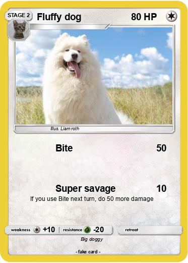 Pokemon Fluffy dog