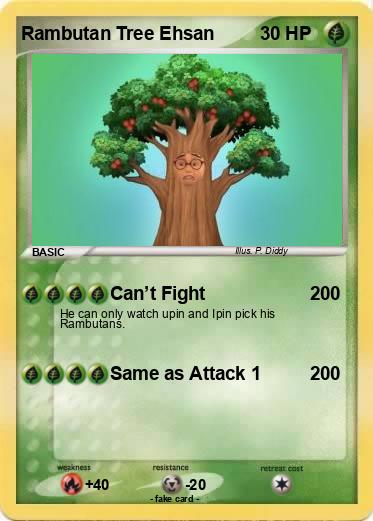Pokemon Rambutan Tree Ehsan