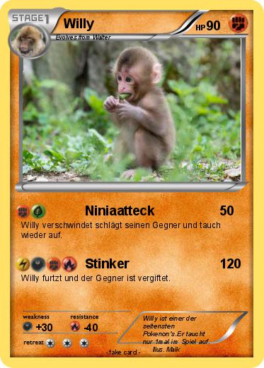 Pokemon Willy