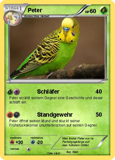 Pokemon Peter