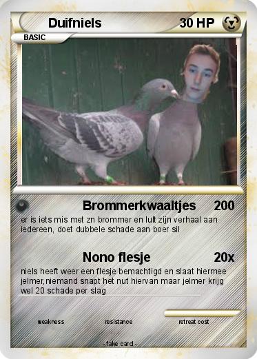 Pokemon Duifniels