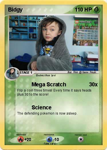 Pokemon Bidgy
