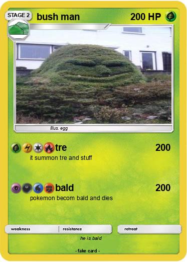 Pokemon bush man