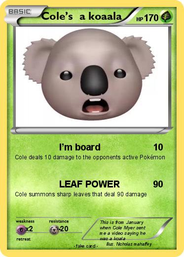 Pokemon Cole’s  a koaala