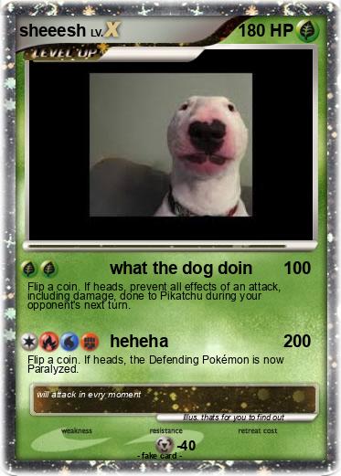 Pokemon sheeesh