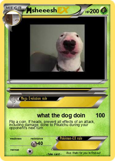 Pokemon sheeesh