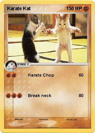 Pokemon Karate Kat