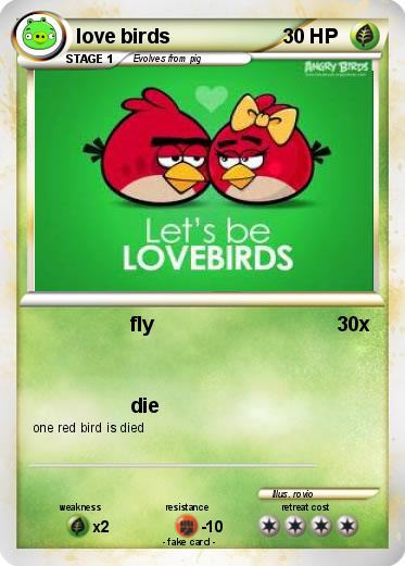 Pokemon love birds