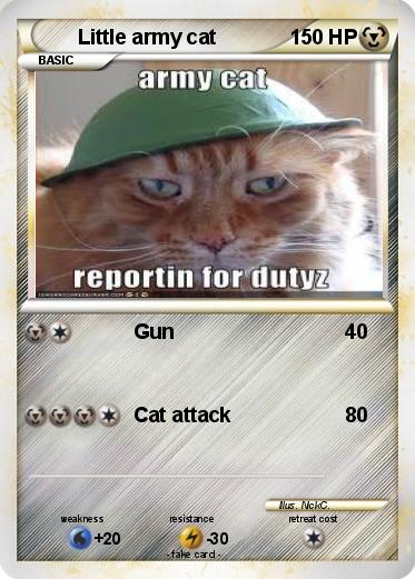 Pokemon Little army cat