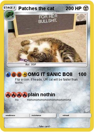 Pokemon Patches the cat