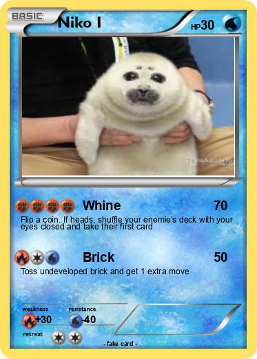 Pokemon Niko I