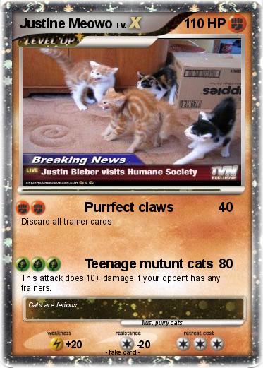 Pokemon Justine Meowo