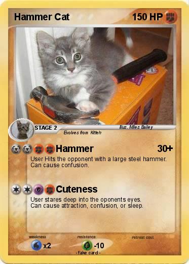 Pokemon Hammer Cat