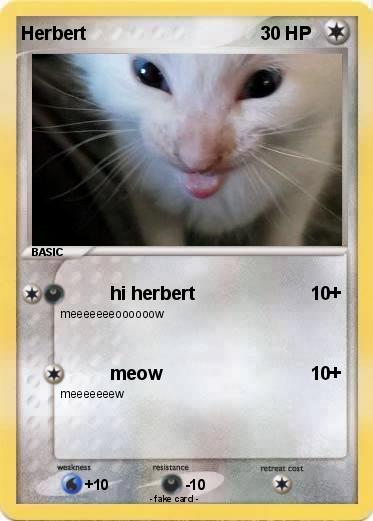Pokemon Herbert