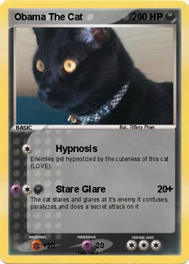 Pokemon Obama The Cat