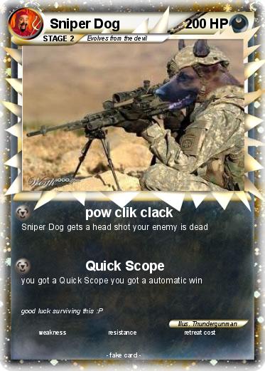 Pokemon Sniper Dog
