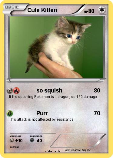 Pokemon Cute Kitten