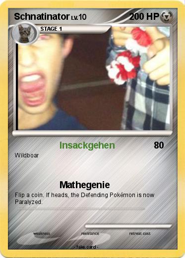 Pokemon Schnatinator