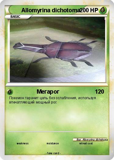 Pokemon Allomyrina dichotoma