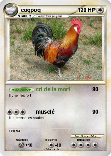 Pokemon coqpoq