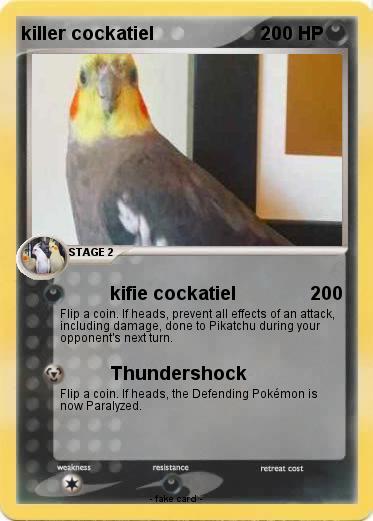 Pokemon killer cockatiel