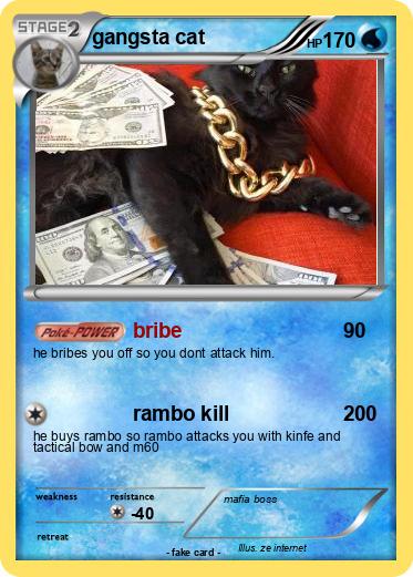 Pokemon gangsta cat