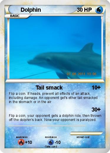 Pokemon Dolphin