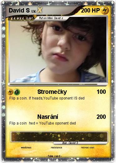 Pokemon David S