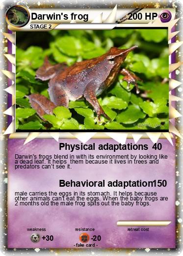 Pokemon Darwin's frog