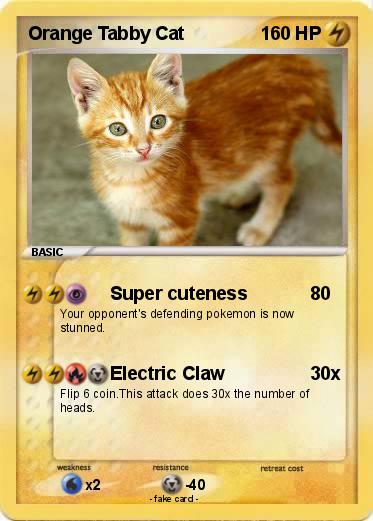 Pokemon Orange Tabby Cat