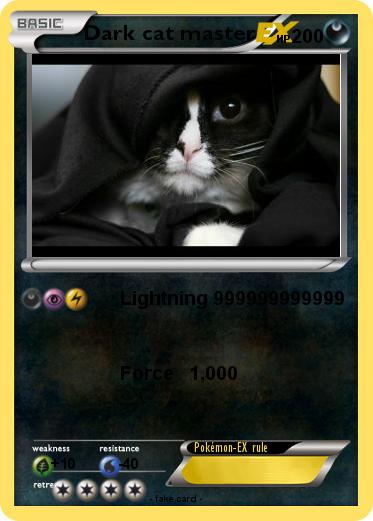 Pokemon Dark cat master