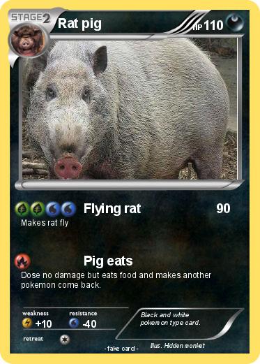 Pokemon Rat pig