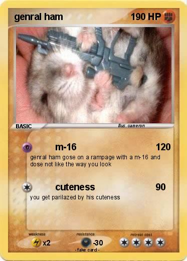 Pokemon genral ham