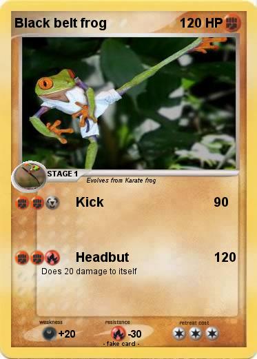 Pokemon Black belt frog
