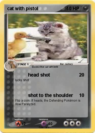 Pokemon cat with pistol