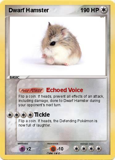 Pokemon Dwarf Hamster