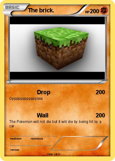 Pokemon The brick.