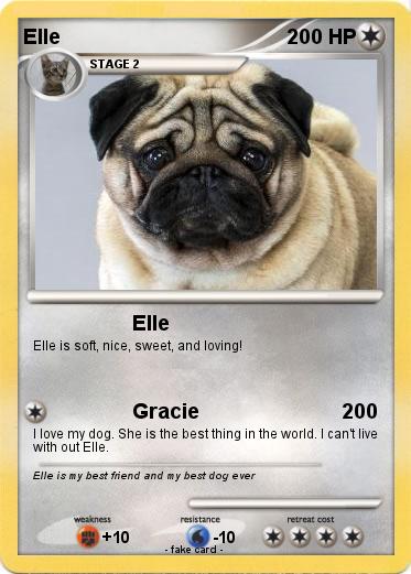 Pokemon Elle