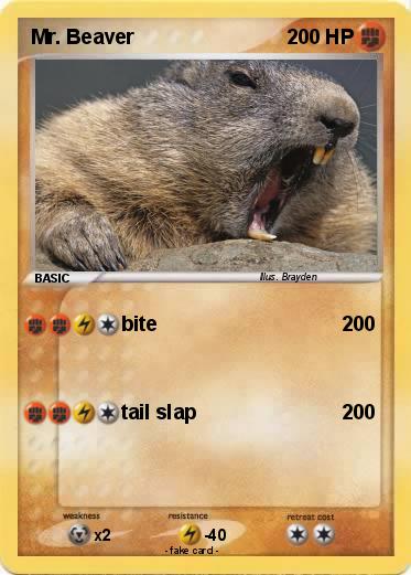 Pokemon Mr. Beaver