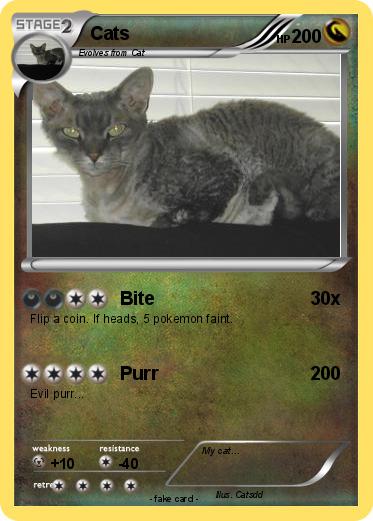 Pokemon Cats