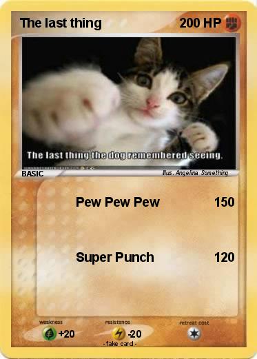 Pokemon The last thing