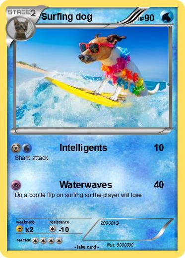 Pokemon Surfing dog