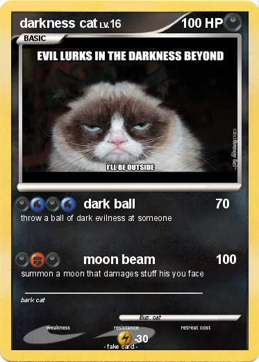 Pokemon darkness cat