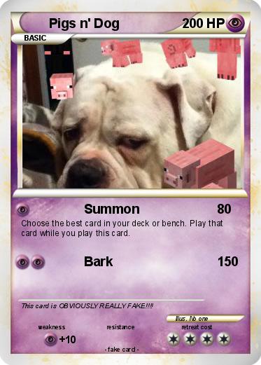 Pokemon Pigs n' Dog