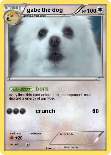 Pokemon gabe the dog