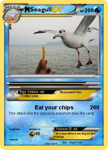 Pokemon Seagull