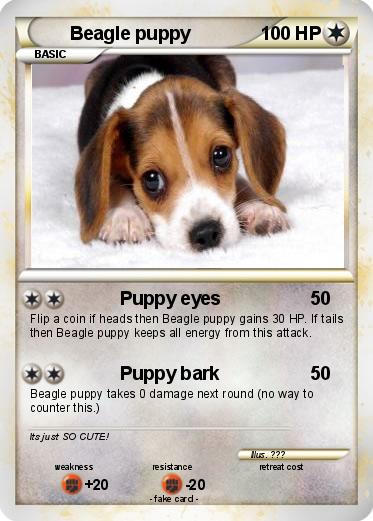 Pokemon Beagle puppy