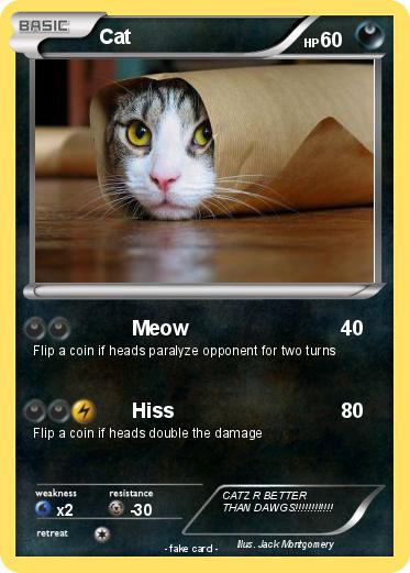 Pokemon Cat
