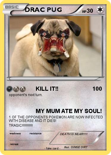 Pokemon DRAC PUG